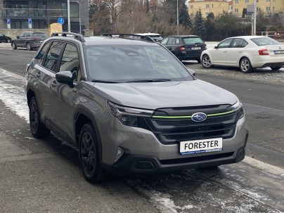 6-forester-field-4