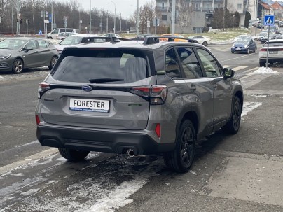 6-forester-field-5