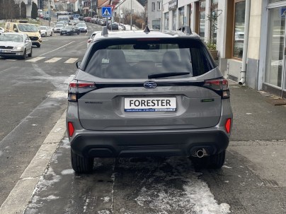 6-forester-field-6